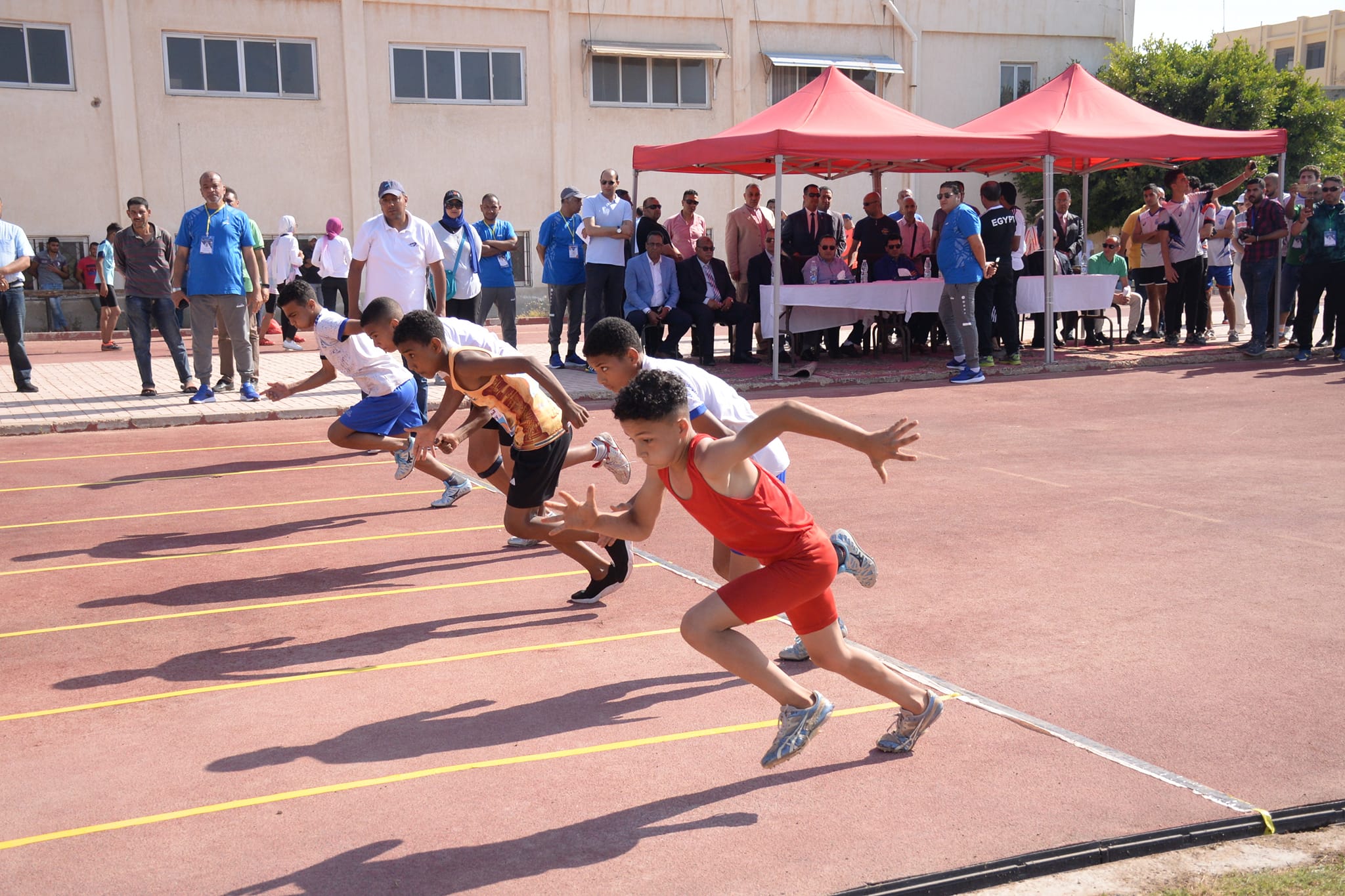 283411051 8370229743002341 5932253376464453457 n