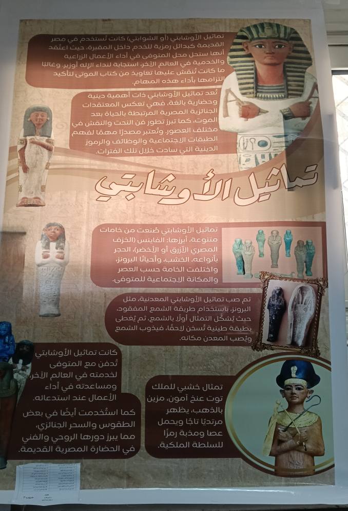 534809270 1194896412677085 8441774872272618868 n