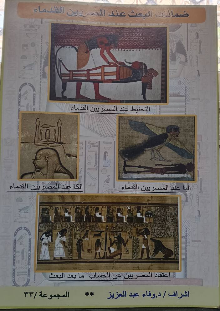 535194750 1194896082677118 6651532721191189465 n