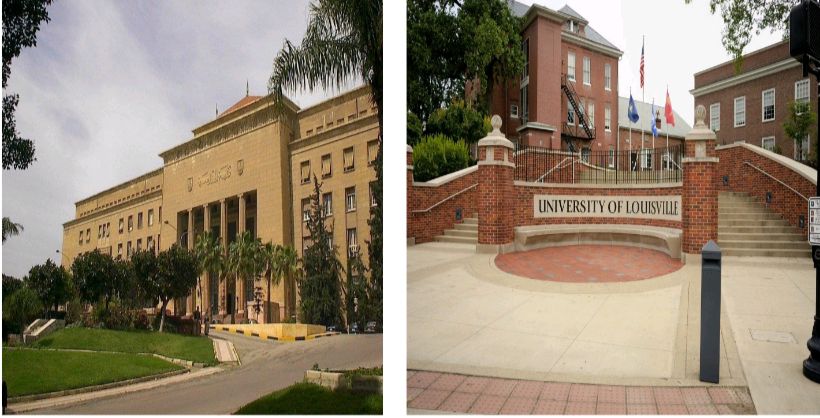 615327748 1318706640296061 472399419207762129 n